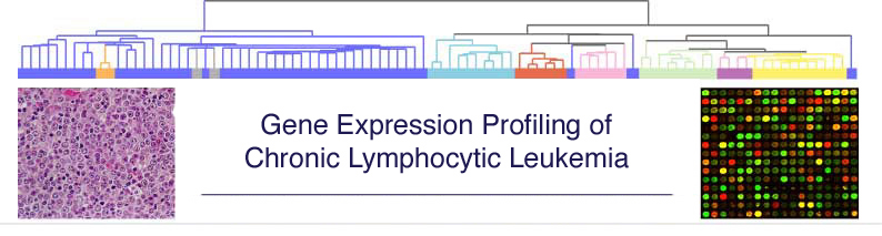 LLMPP logo